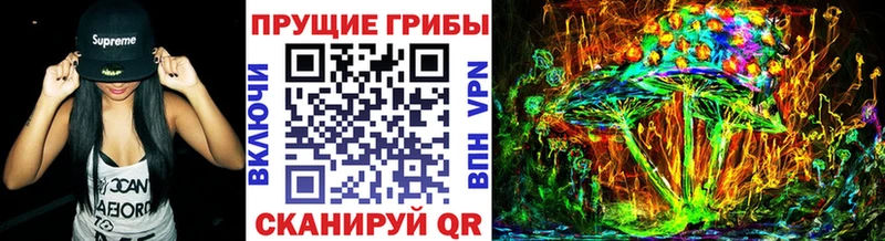 закладки  Ковров  OMG онион  Псилоцибиновые грибы GOLDEN TEACHER 